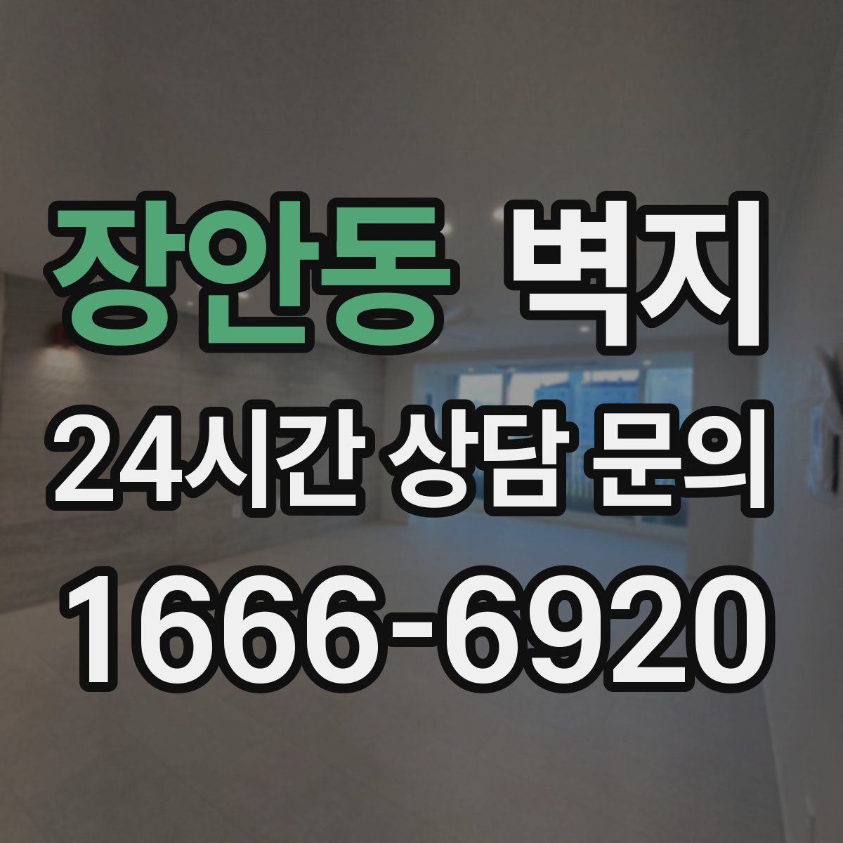 장안동 벽지