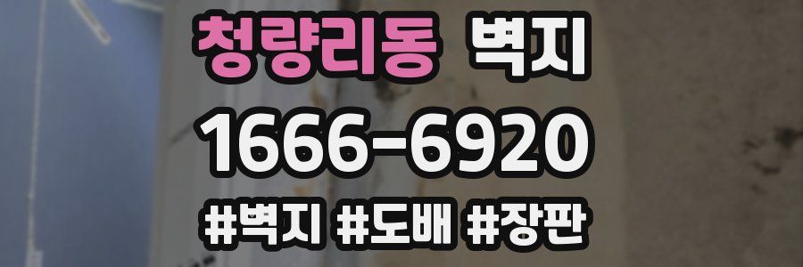 청량리동 벽지