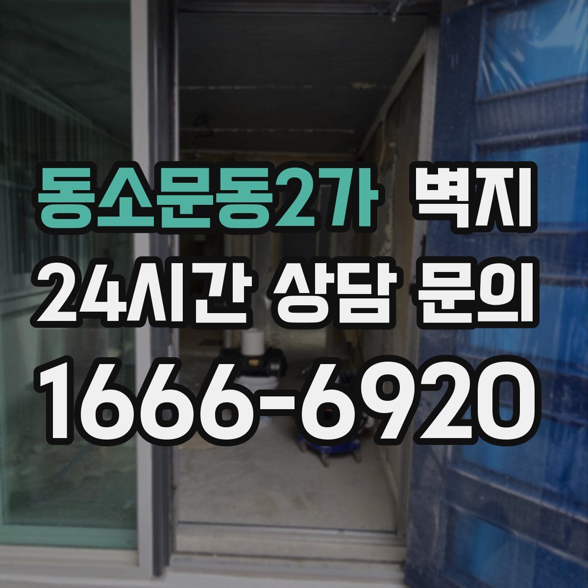동소문동2가 벽지