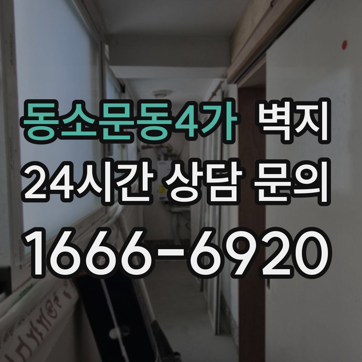 동소문동4가 벽지
