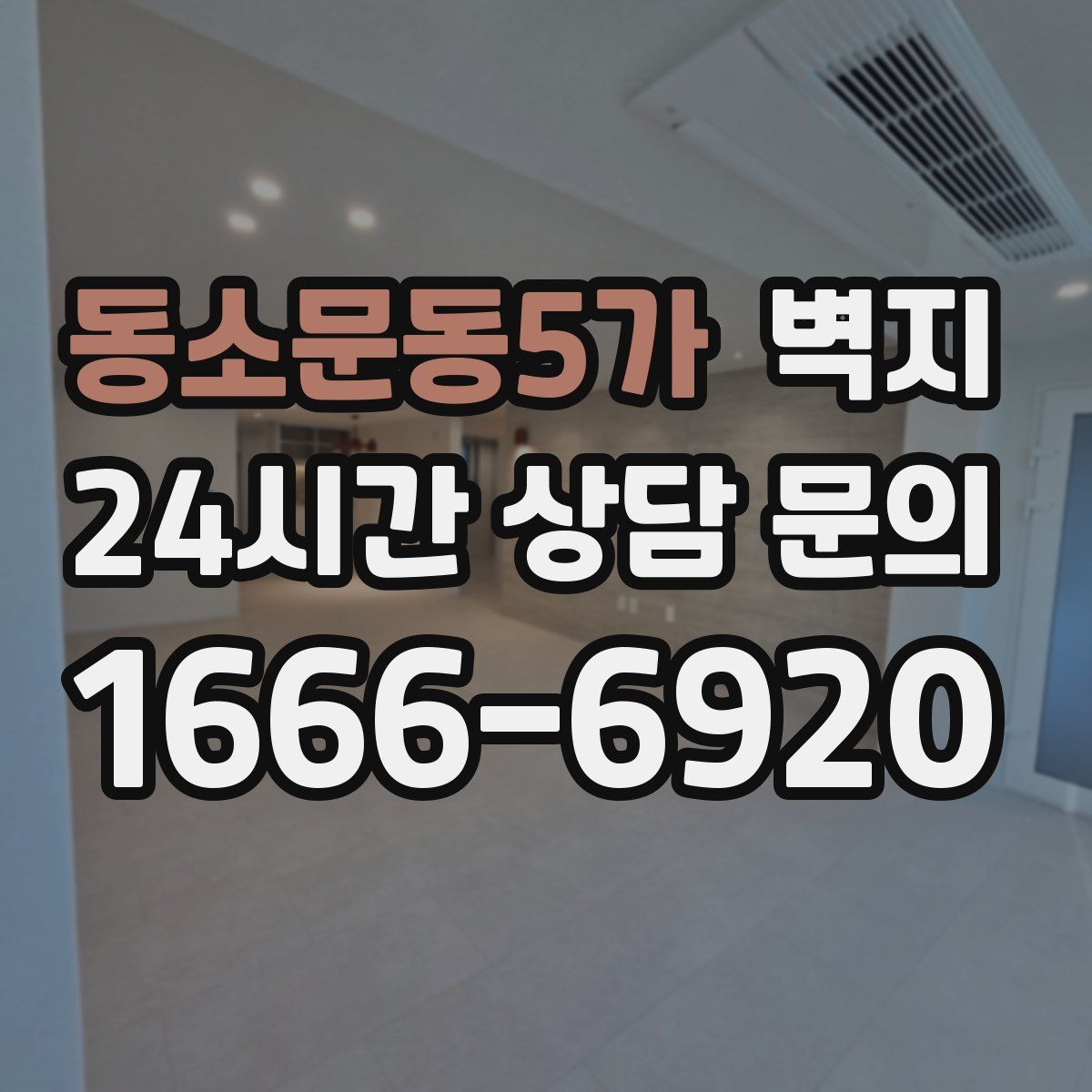 동소문동5가 벽지
