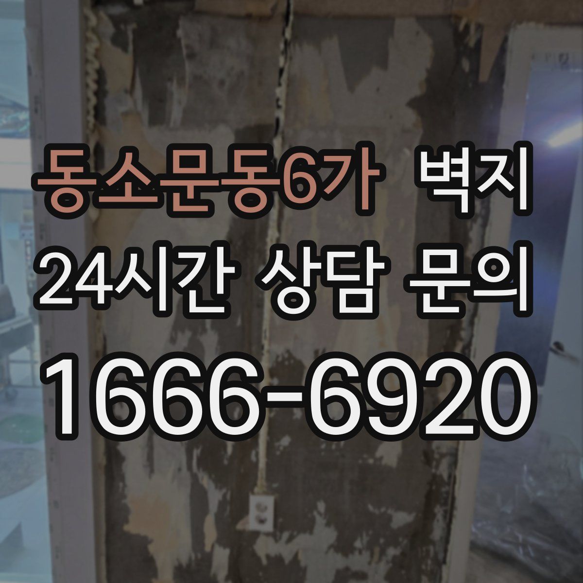 동소문동6가 벽지