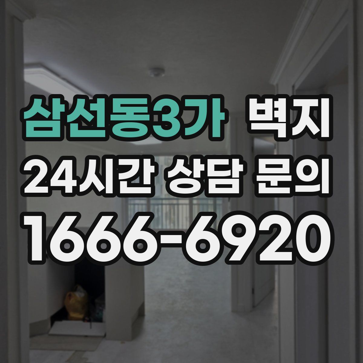 삼선동3가 벽지