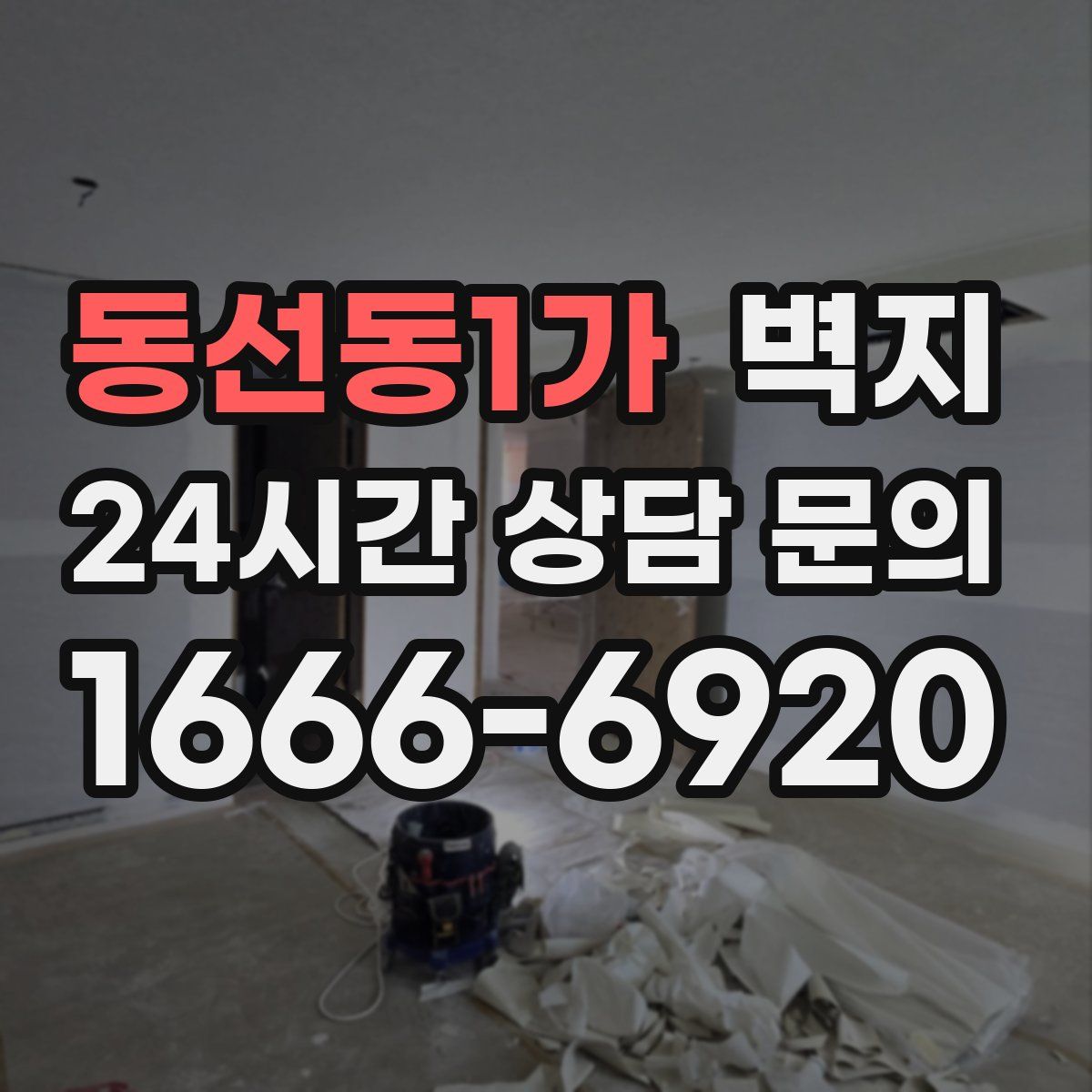 동선동1가 벽지