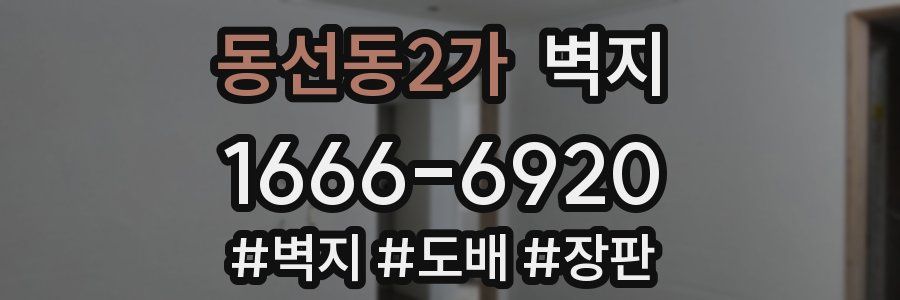 동선동2가 벽지