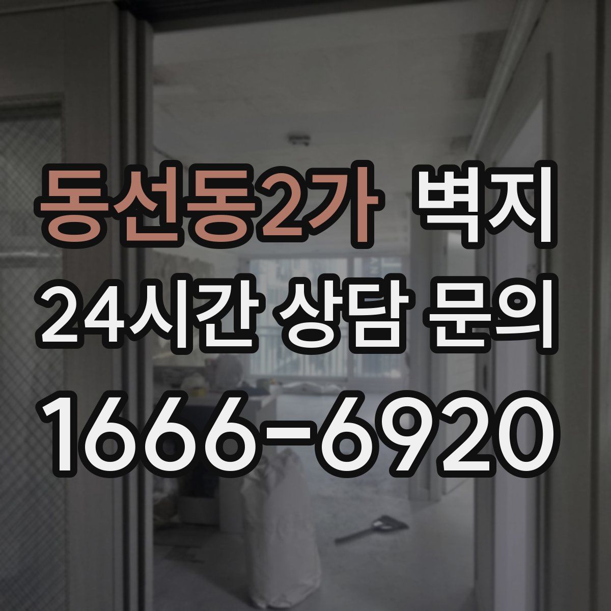동선동2가 벽지