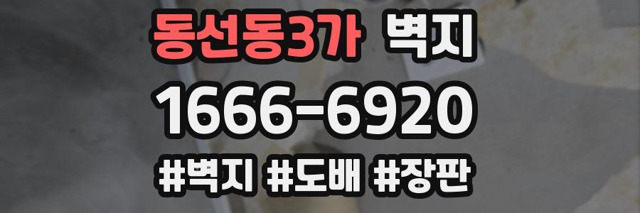 동선동3가 벽지