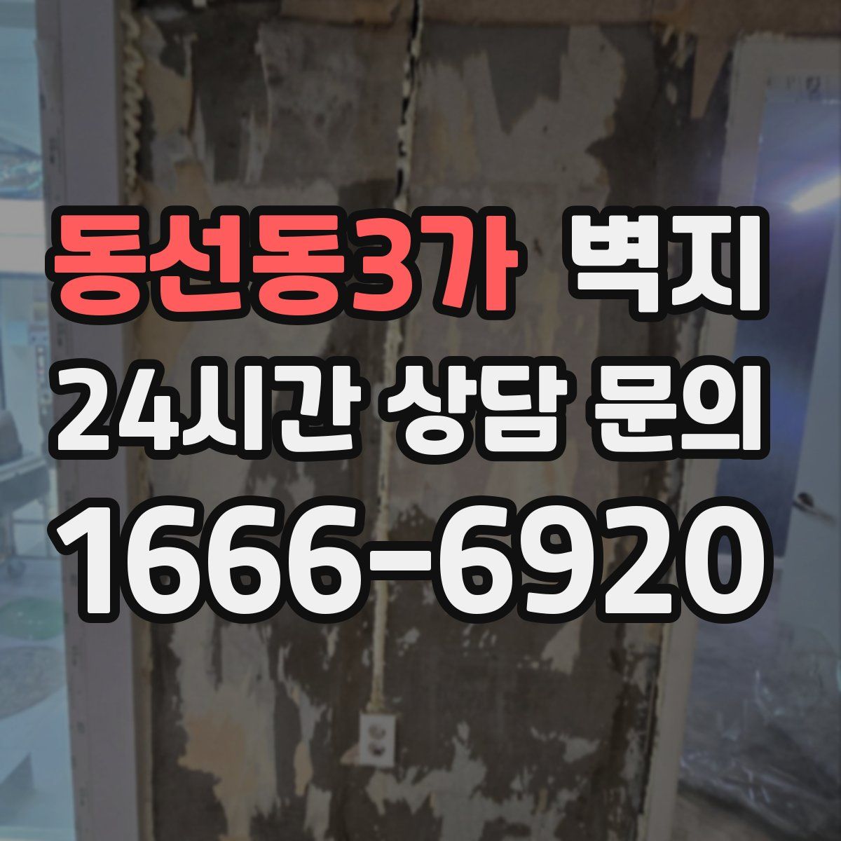 동선동3가 벽지