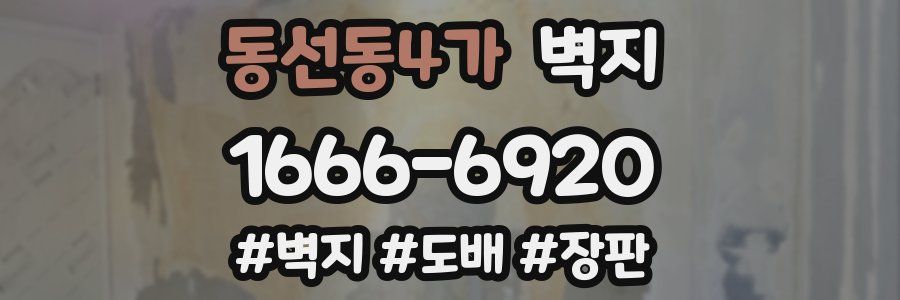 동선동4가 벽지