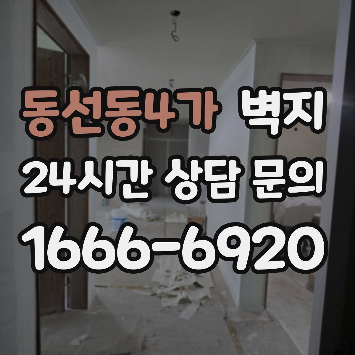 동선동4가 벽지