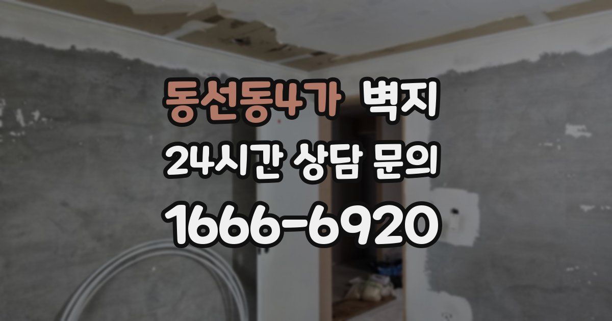 동선동4가 벽지