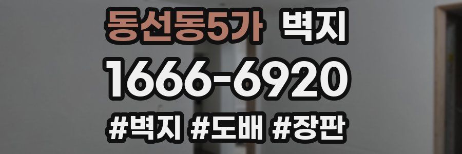 동선동5가 벽지
