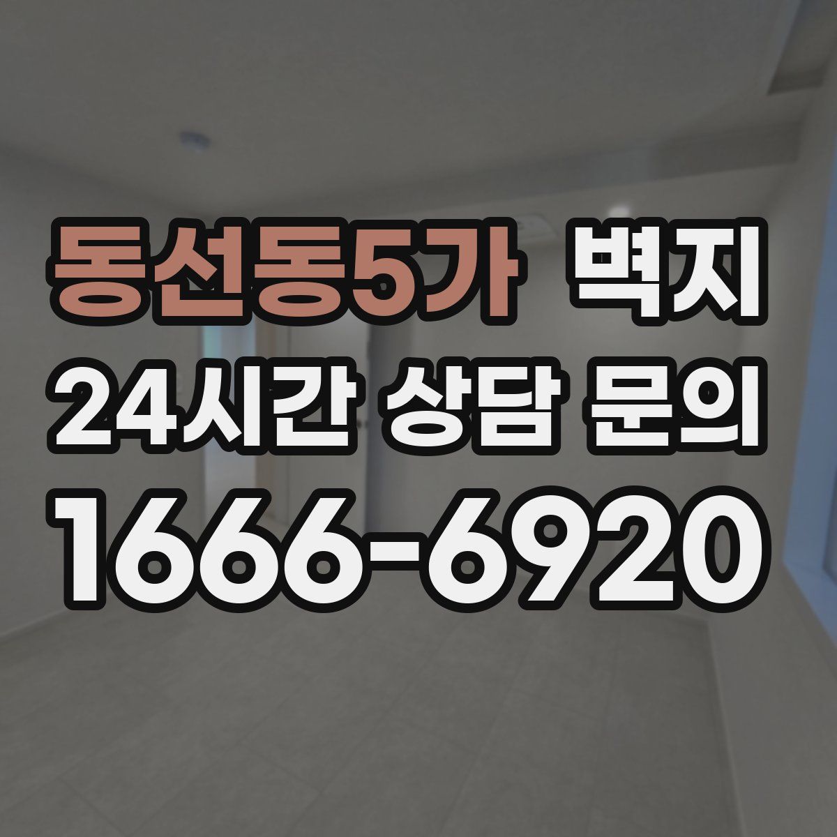 동선동5가 벽지