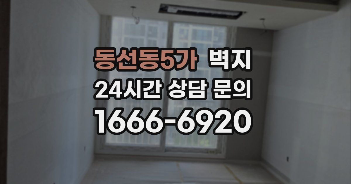 동선동5가 벽지