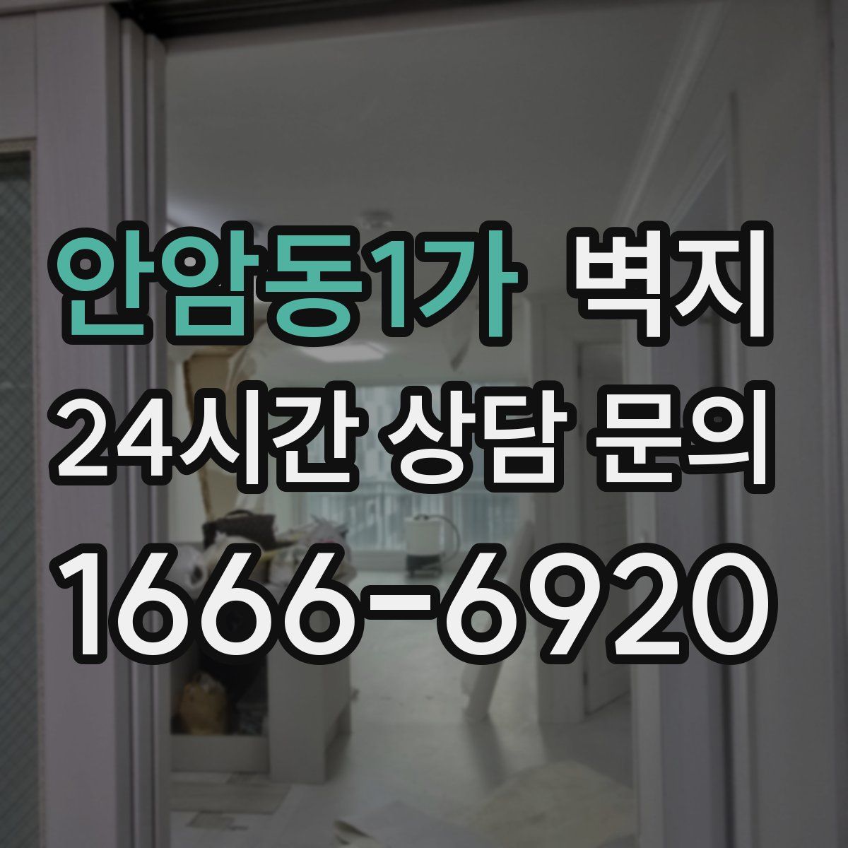 안암동1가 벽지