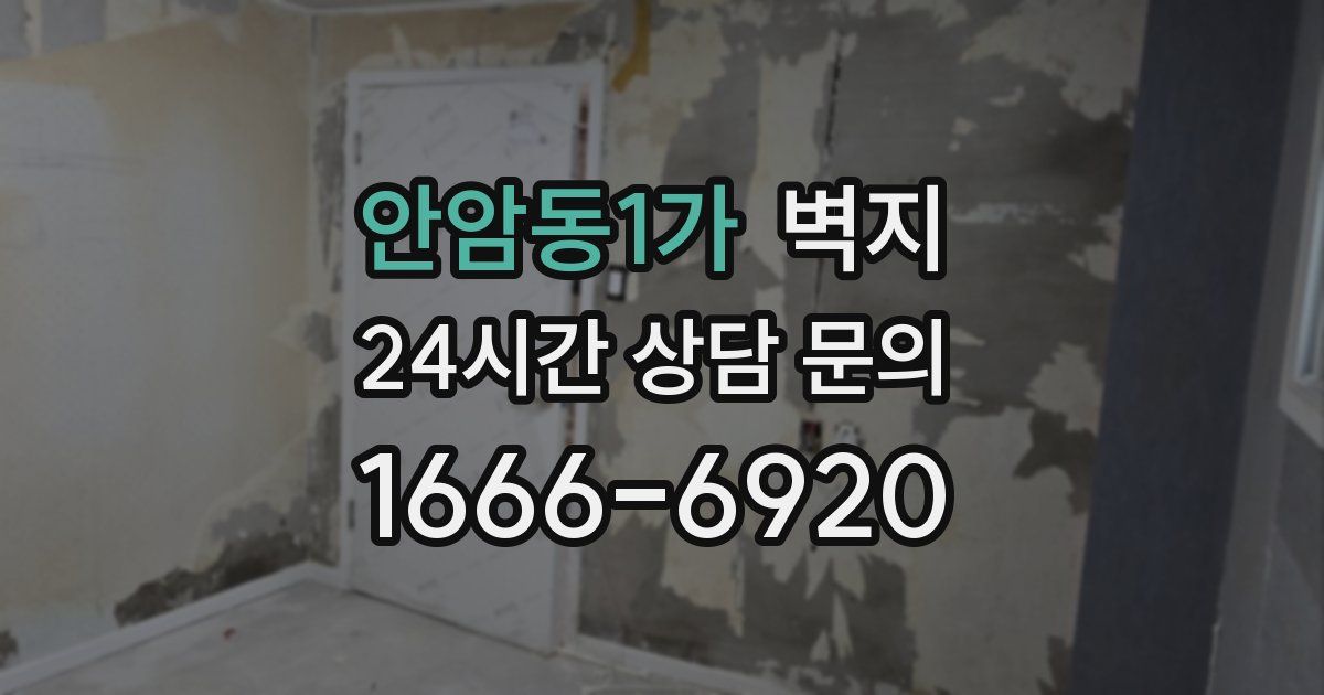 안암동1가 벽지