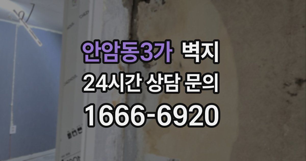 안암동3가 벽지