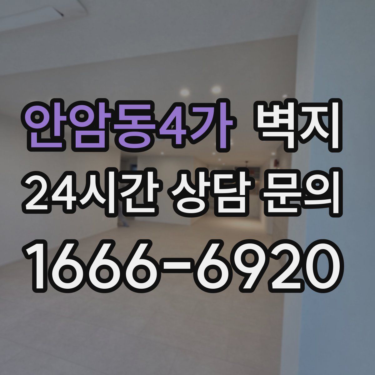 안암동4가 벽지