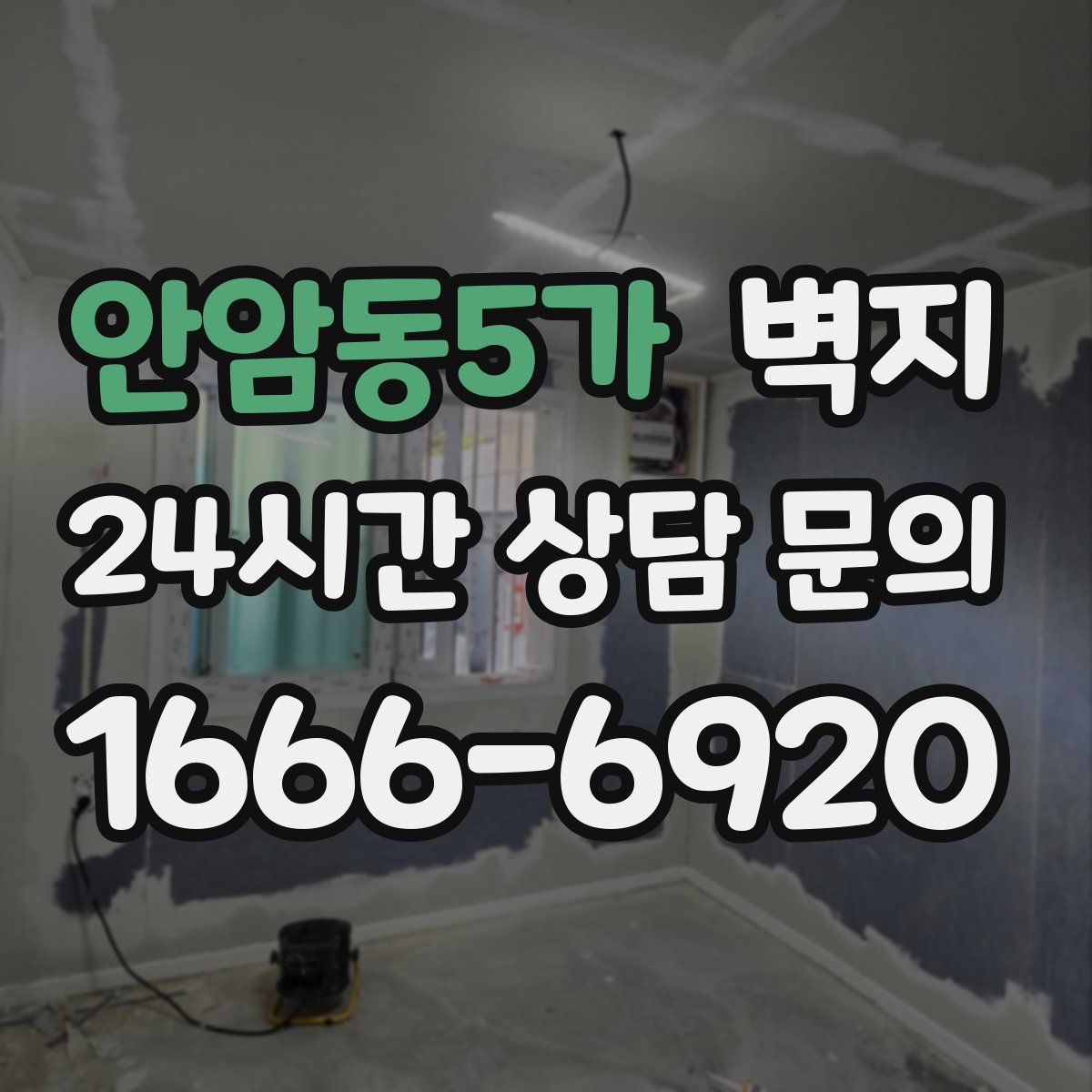 안암동5가 벽지