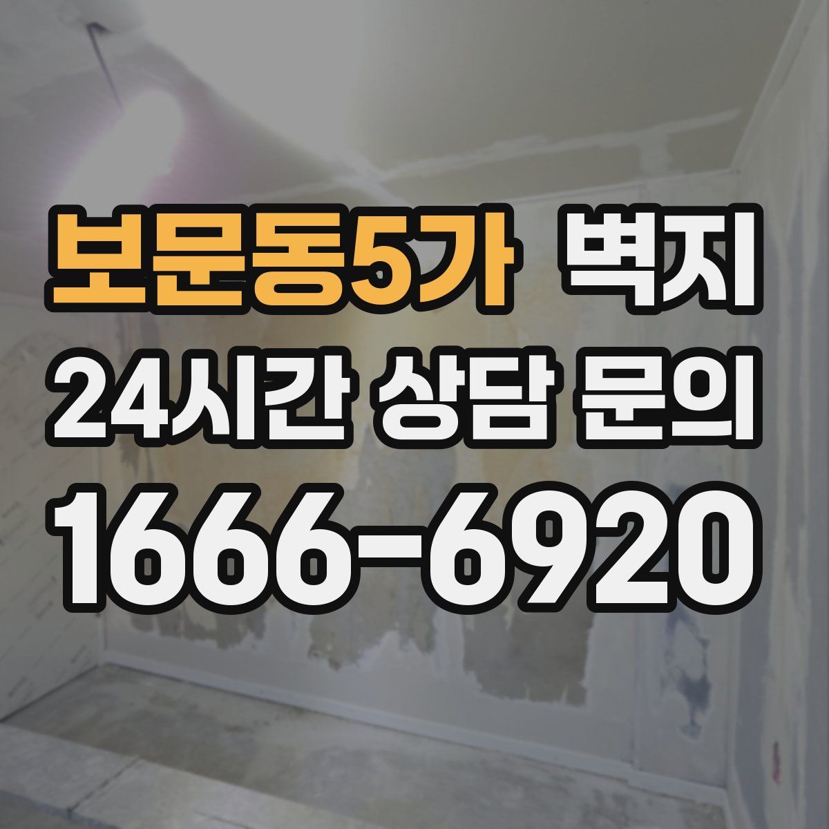 보문동5가 벽지