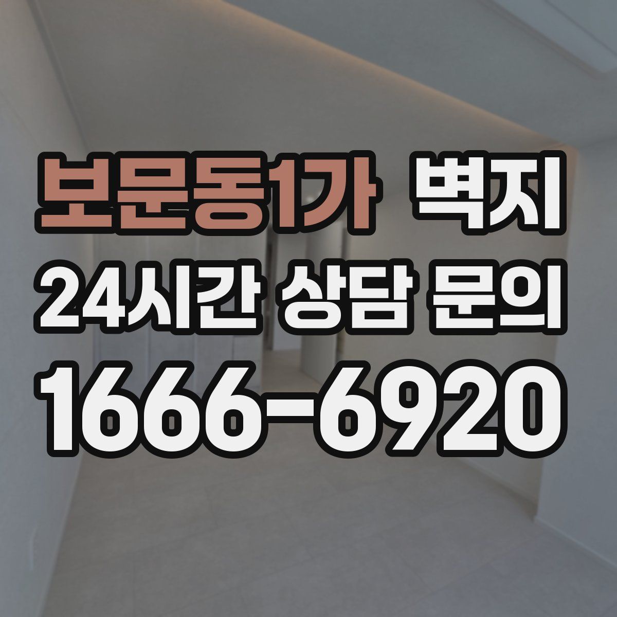 보문동1가 벽지