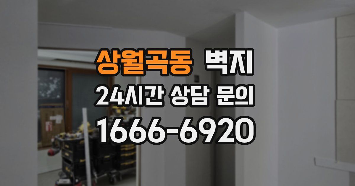 상월곡동 벽지