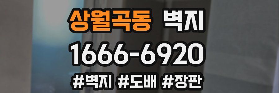 상월곡동 벽지
