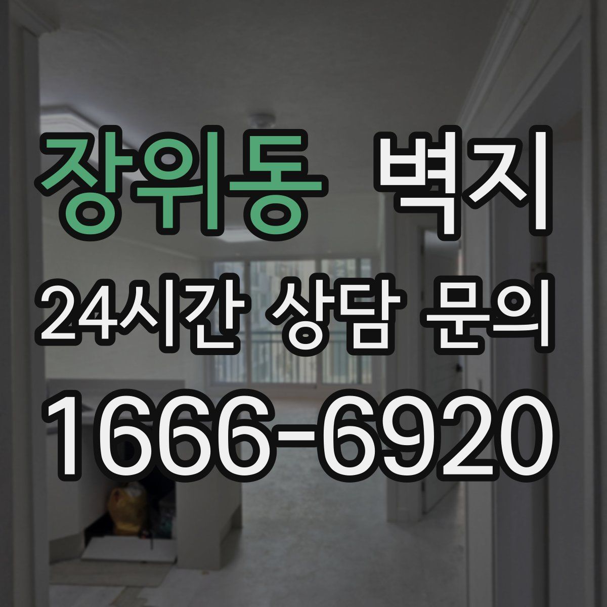 장위동 벽지