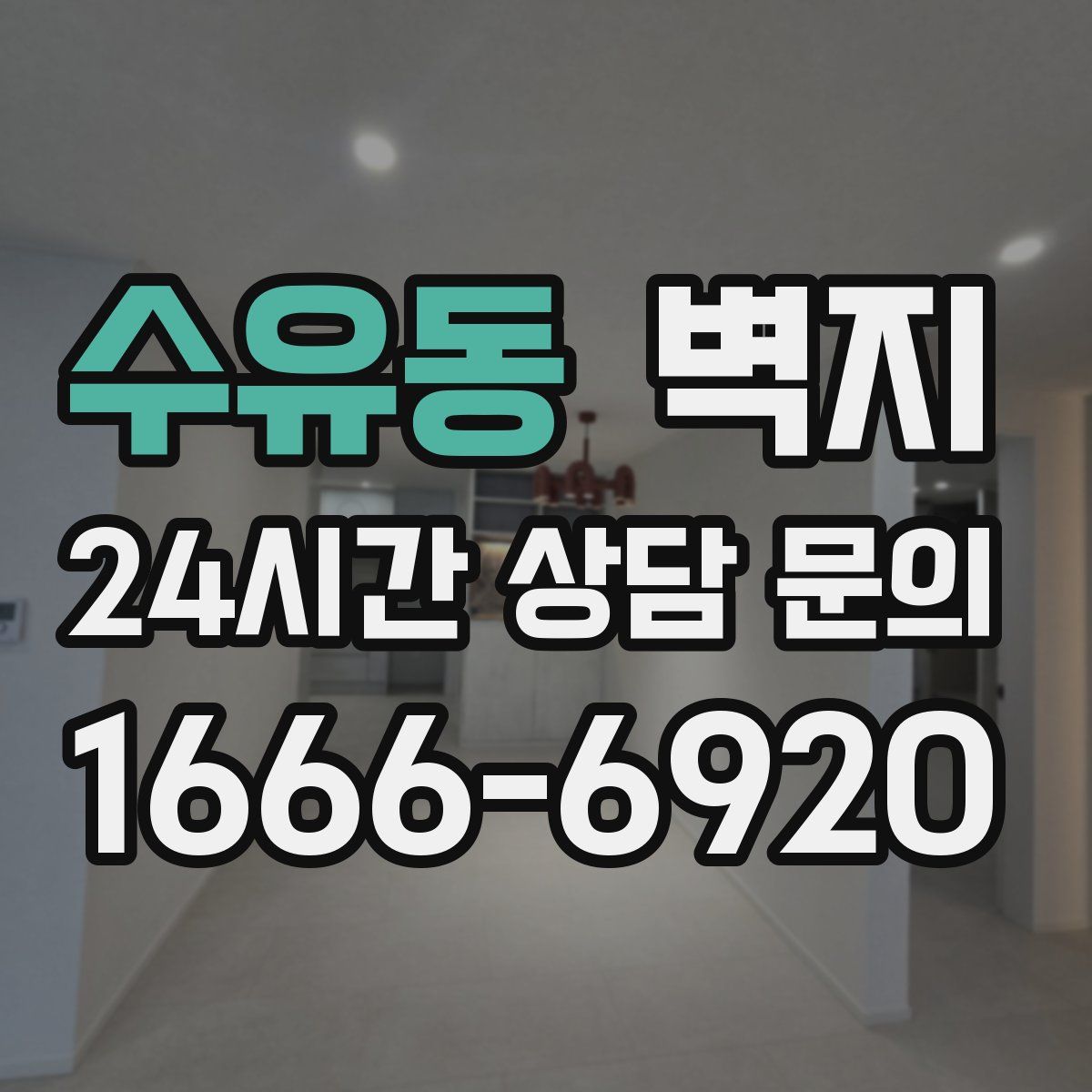 수유동 벽지