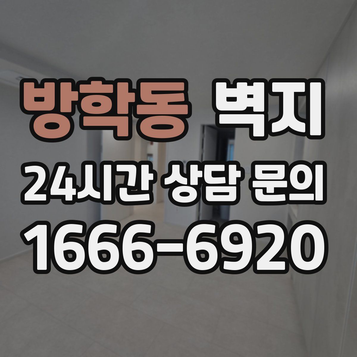 방학동 벽지