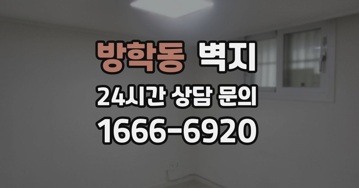 방학동 벽지