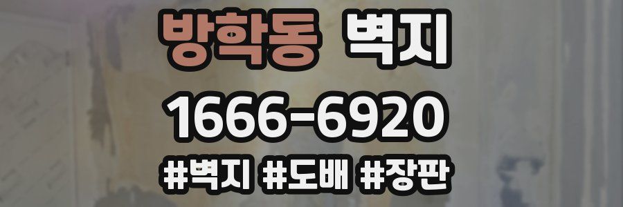 방학동 벽지