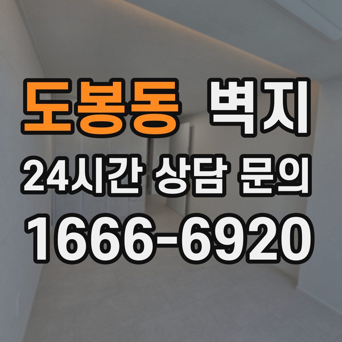 도봉동 벽지