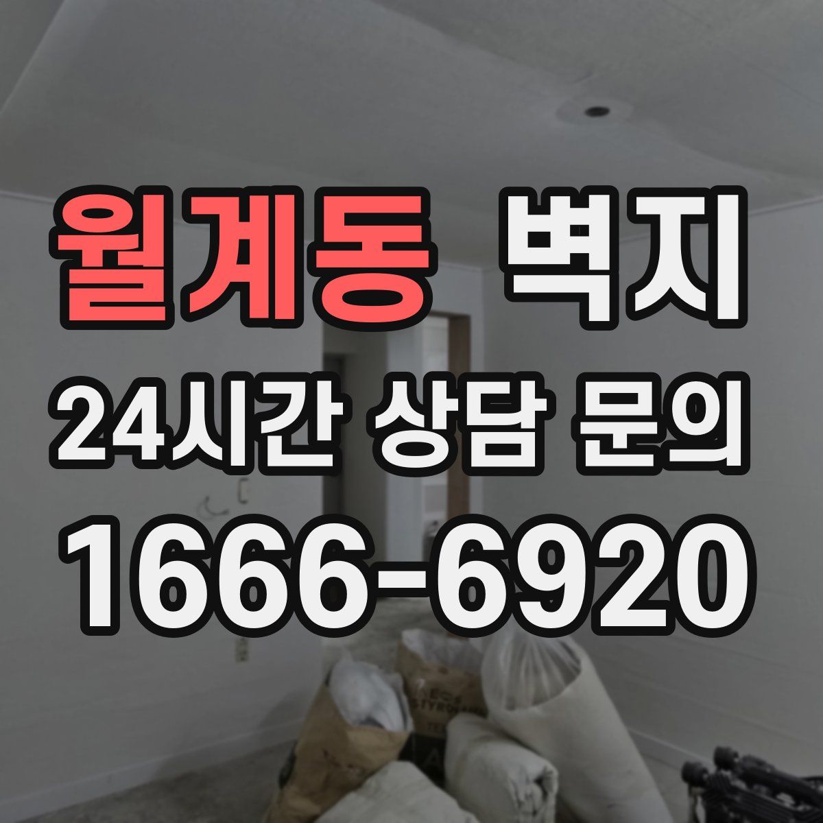 월계동 벽지