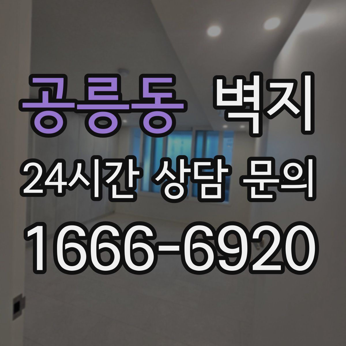 공릉동 벽지