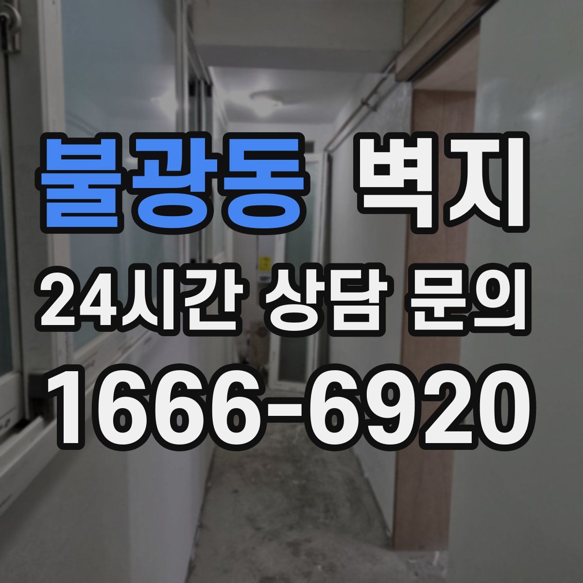 불광동 벽지