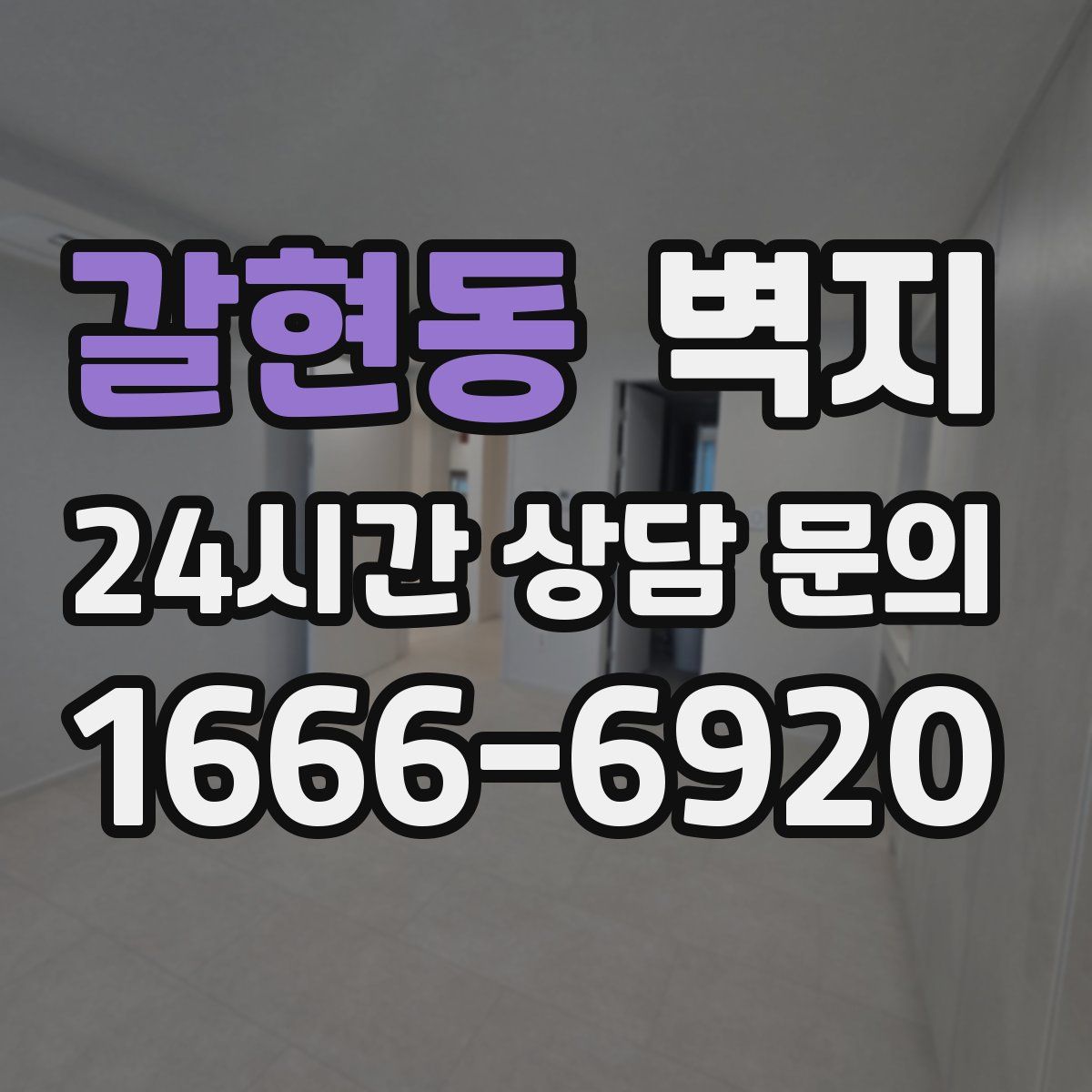 갈현동 벽지