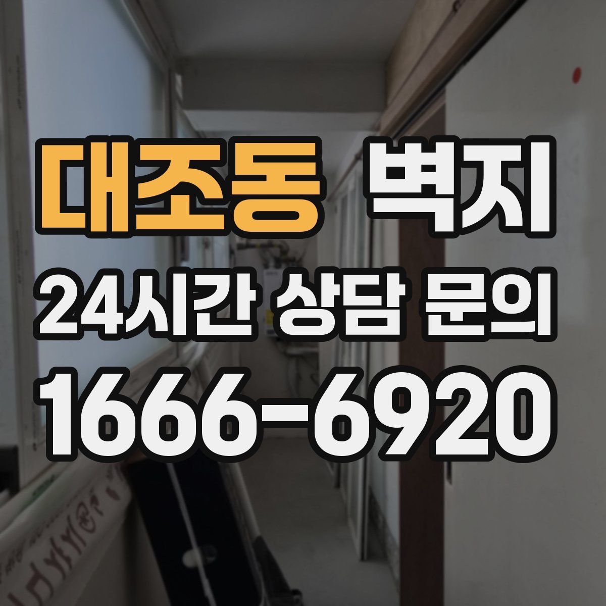 대조동 벽지