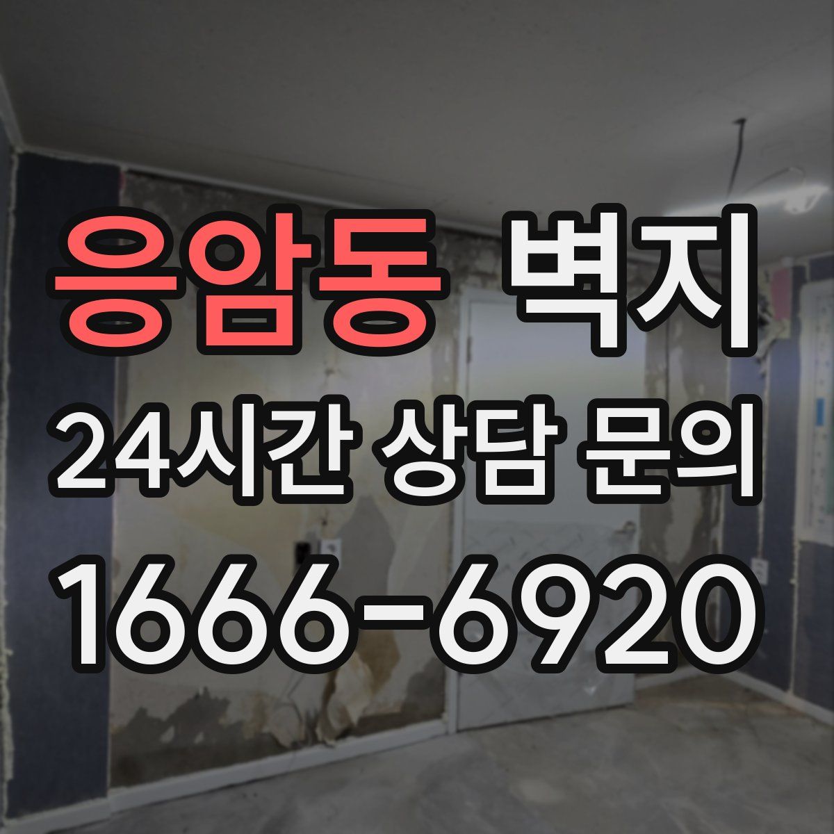 응암동 벽지