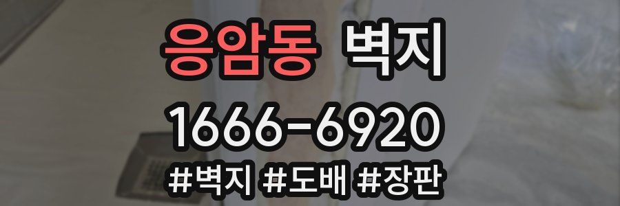 응암동 벽지