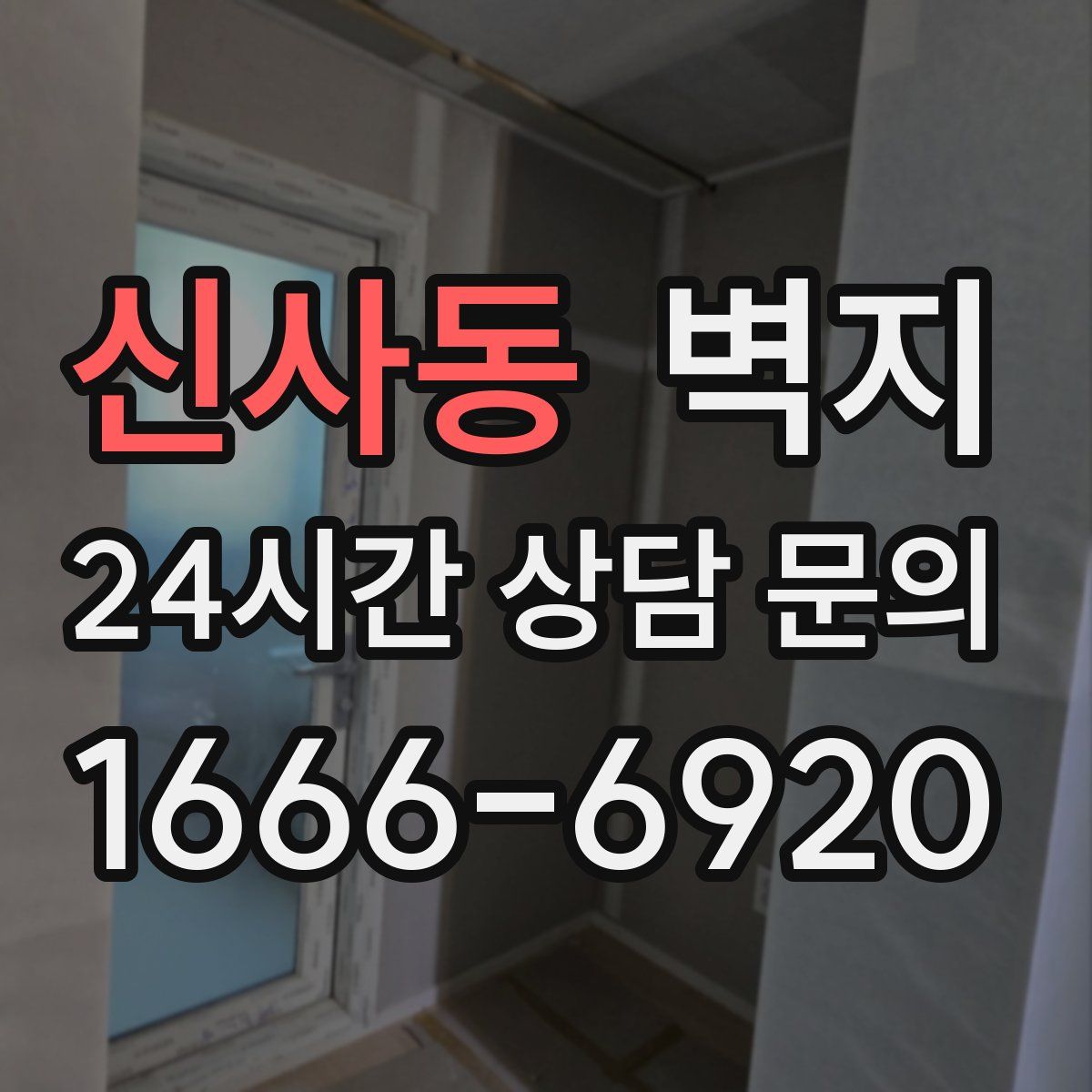 신사동 벽지