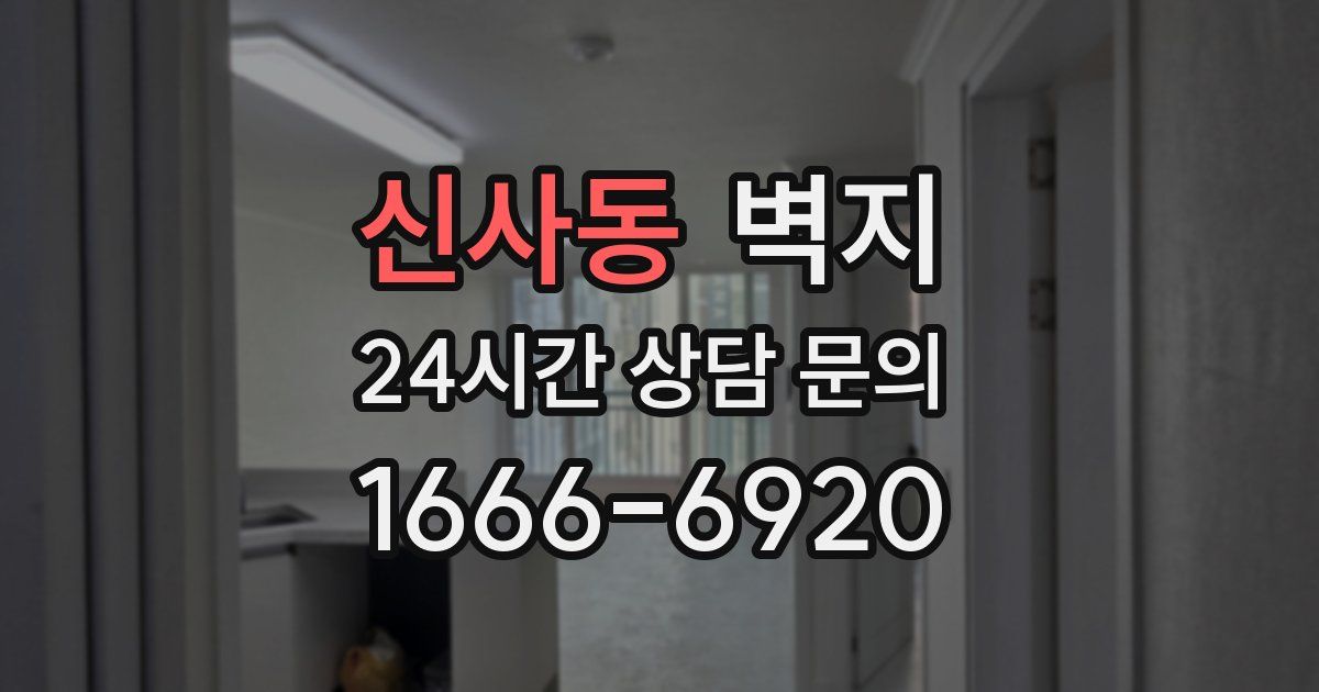 신사동 벽지