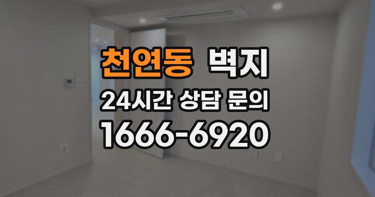 천연동 벽지