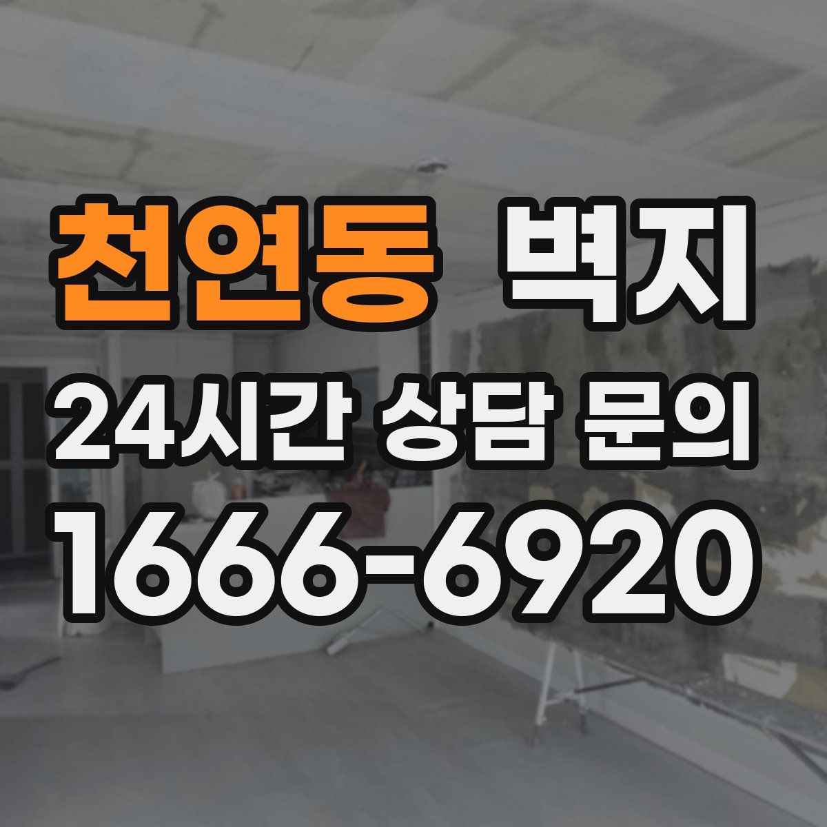 천연동 벽지