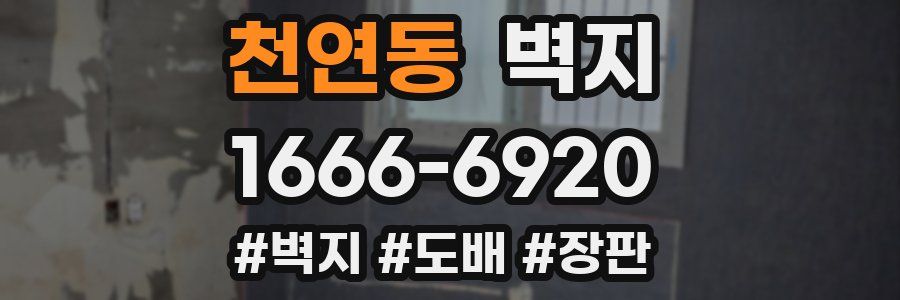 천연동 벽지