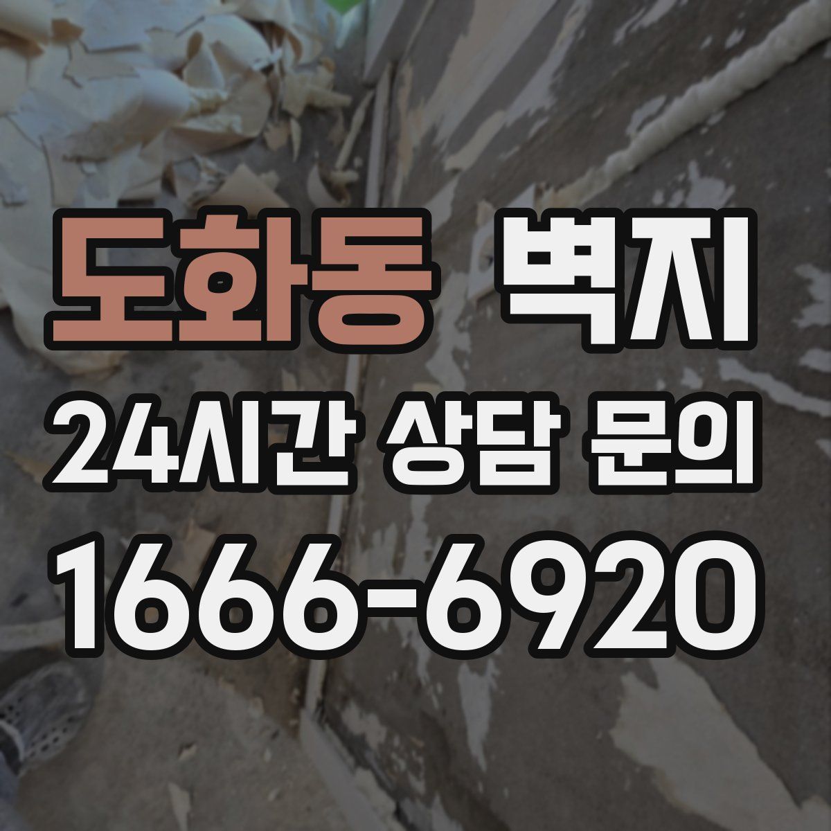 도화동 벽지