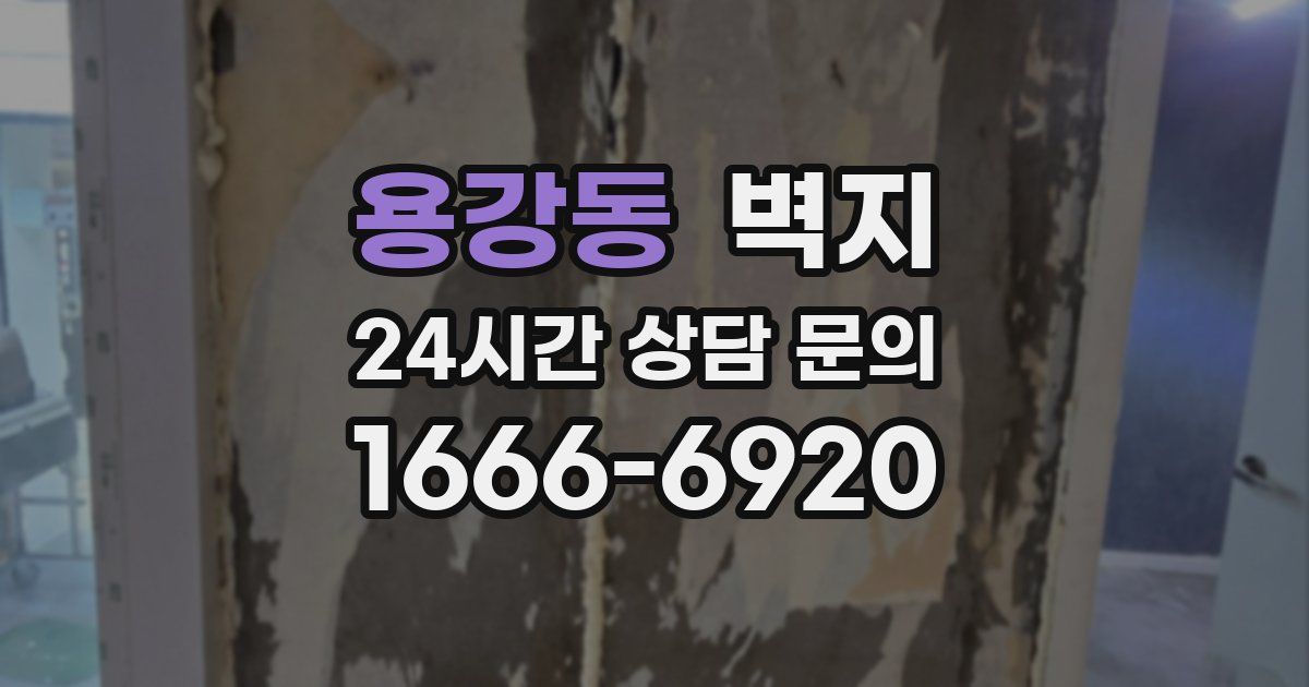 용강동 벽지