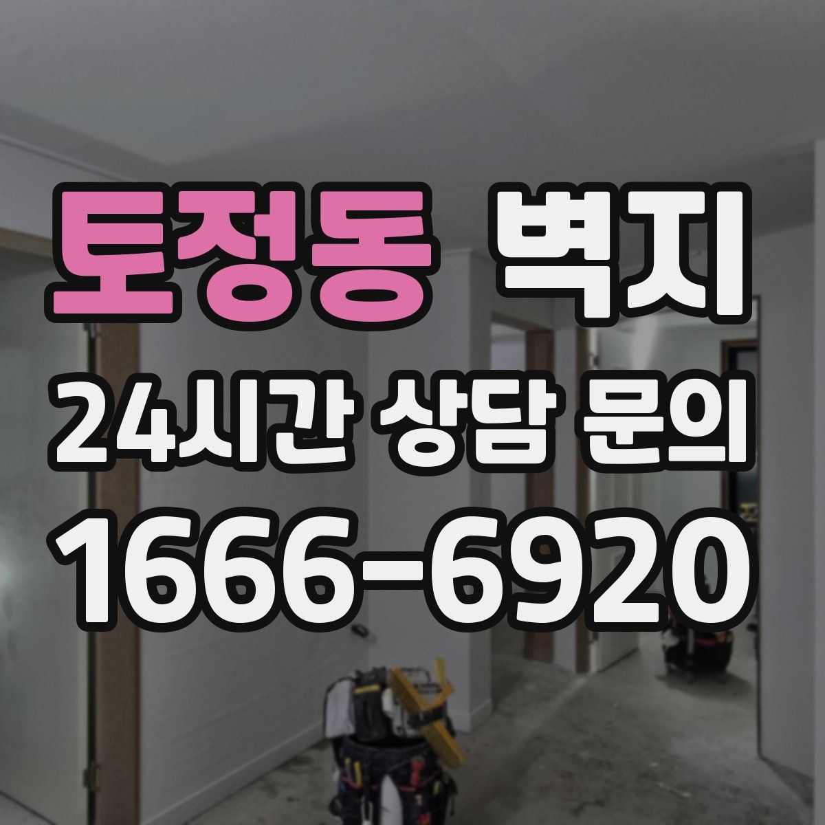 토정동 벽지