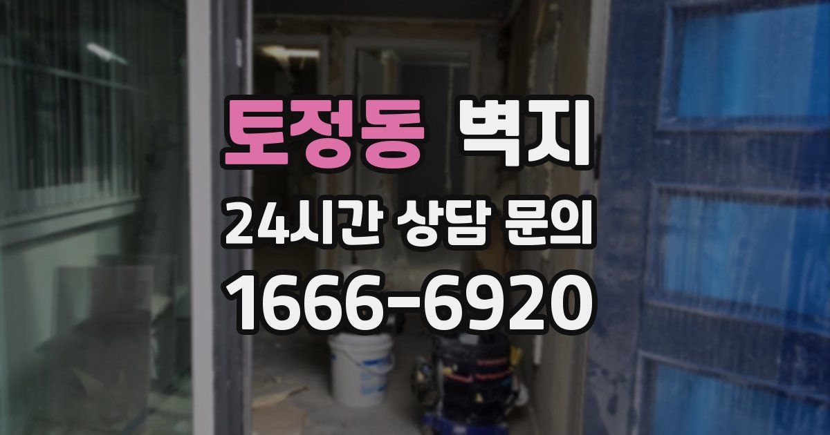 토정동 벽지