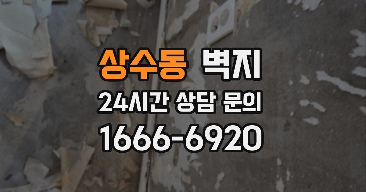 상수동 벽지